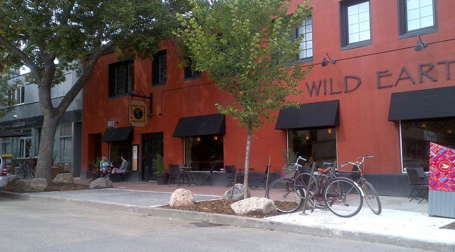 Stratacells extend Elm life in Edmonton