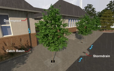 School Lined with Trees to Provide Shade and Stormwater Detention