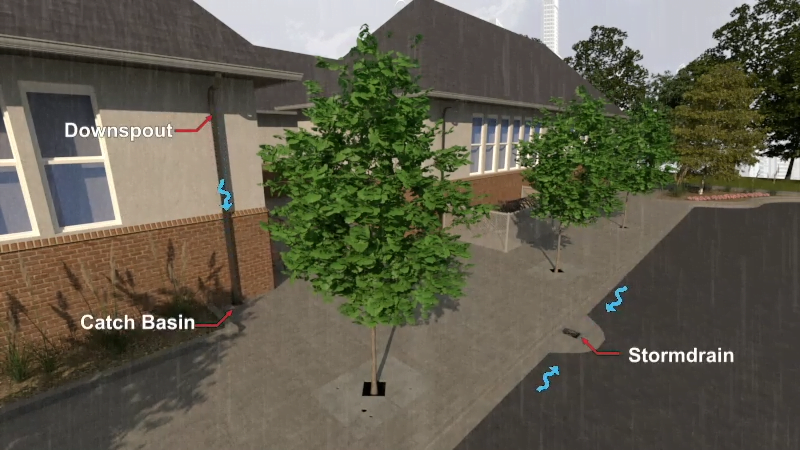 School Lined with Trees to Provide Shade and Stormwater Detention